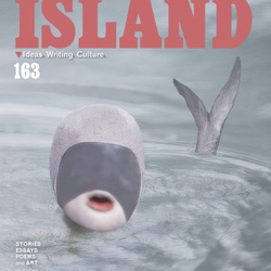 Island 163 Cover